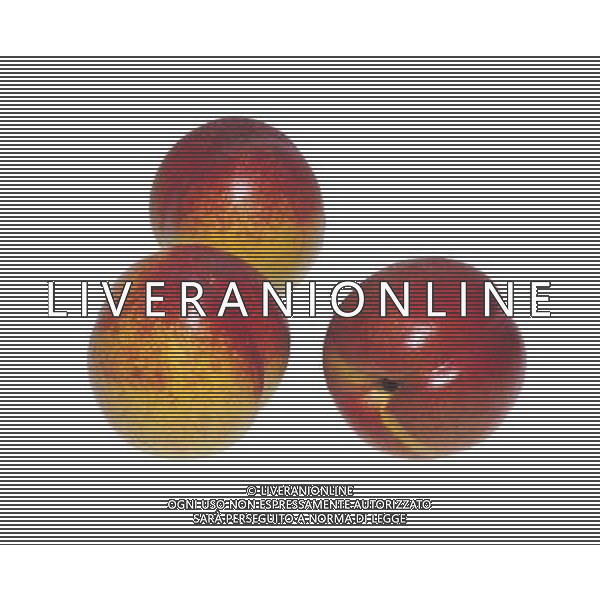 SITUATION PESCHE FRUTTA AGENZIA ALDO LIVERANI IFC