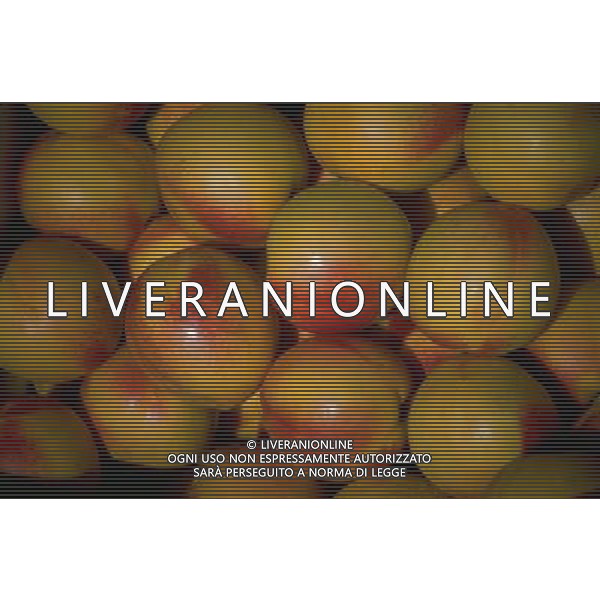 SITUATION PESCHE FRUTTA AGENZIA ALDO LIVERANI IFC