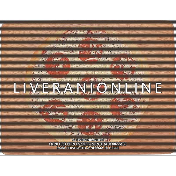 SITUATION POLLI CARNI BIANCHE AGENZIA ALDO LIVERANI IFC