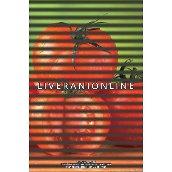 SITUATION POMODORI AGENZIA ALDO LIVERANI