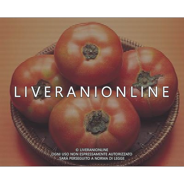 SITUATION POMODORI AGENZIA ALDO LIVERANI