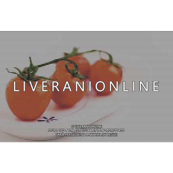 SITUATION POMODORI FRUTTA-VERDURA AGENZIA ALDO LIVERANI