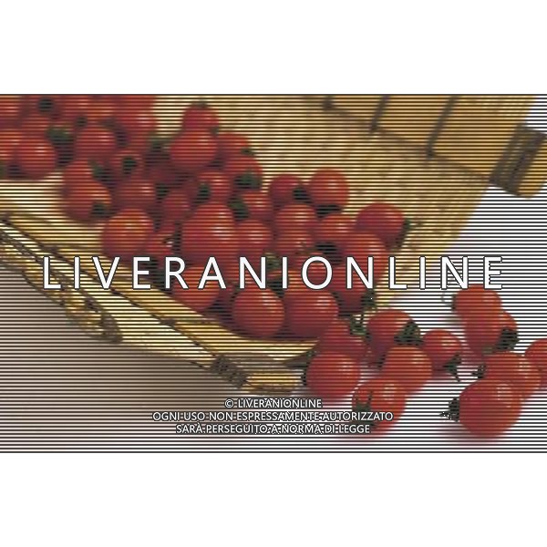 SITUATION POMODORI AGENZIA ALDO LIVERANI