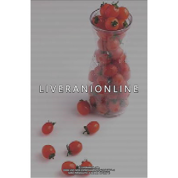 SITUATION POMODORI AGENZIA ALDO LIVERANI