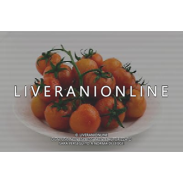 SITUATION POMODORI FRUTTA-VERDURA AGENZIA ALDO LIVERANI