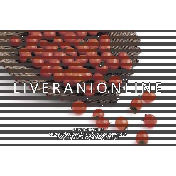SITUATION POMODORI AGENZIA ALDO LIVERANI
