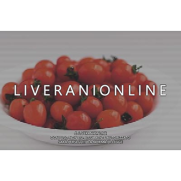 SITUATION POMODORI AGENZIA ALDO LIVERANI