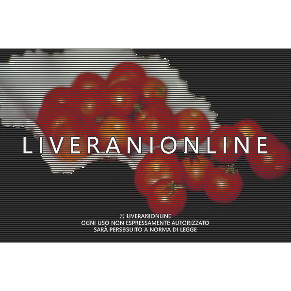 SITUATION POMODORI FRUTTA-VERDURA AGENZIA ALDO LIVERANI