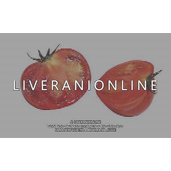 SITUATION POMODORI AGENZIA ALDO LIVERANI