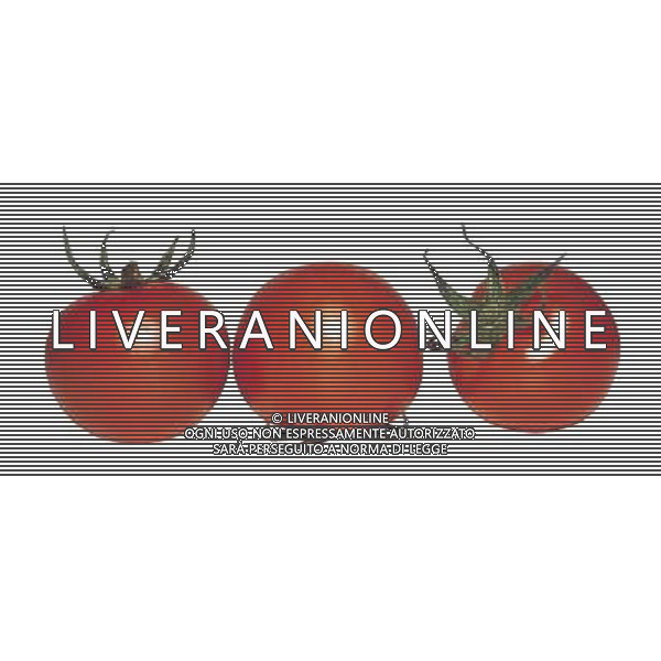 SITUATION POMODORI AGENZIA ALDO LIVERANI