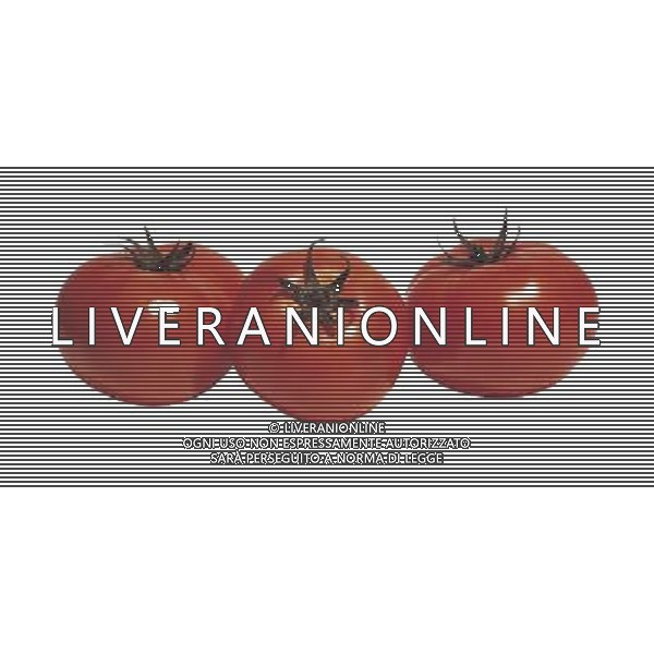 SITUATION POMODORI AGENZIA ALDO LIVERANI