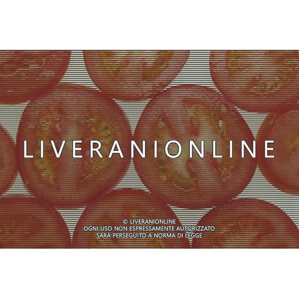 SITUATION POMODORI FRUTTA-VERDURA AGENZIA ALDO LIVERANI