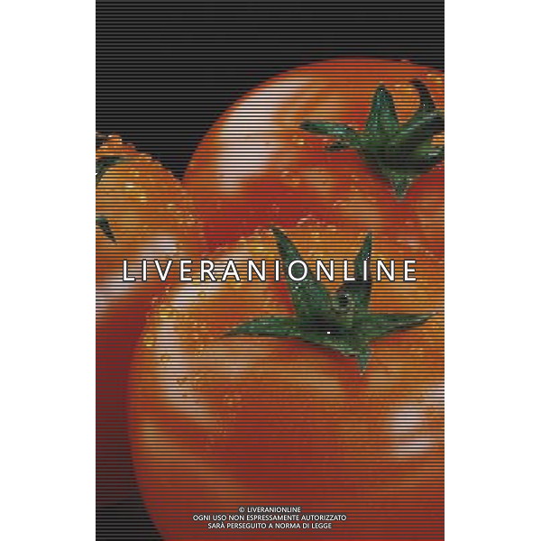 FRUTTA 2004 NELLA FOTO POMODORI SITUATION AGENZIA ALDO LIVERANI