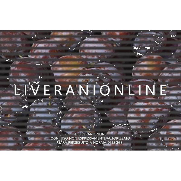 SITUATION PRUGNE FRUTTA AGENZIA ALDO LIVERANI
