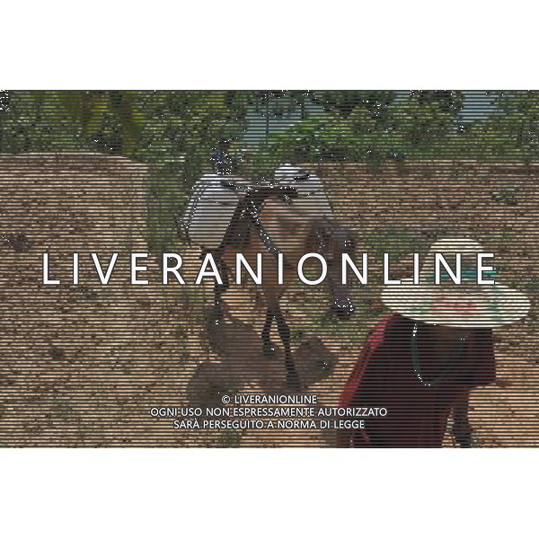 (110804) -- LONGLIN, Aug. 4, 2011 () -- A villager leads a mule which carries water in Longlin, south China\'s Guangxi Zhuang Autonomous Region, Aug. 4, 2011. A continuous drought has dried up rivers and reservoirs in the county of Longlin, with water reserves decreasing by 65 percent from previous years, forcing villagers to tramp over mountains to carry water for daily use.(/Zhou Hua) (gsy) (ljh)