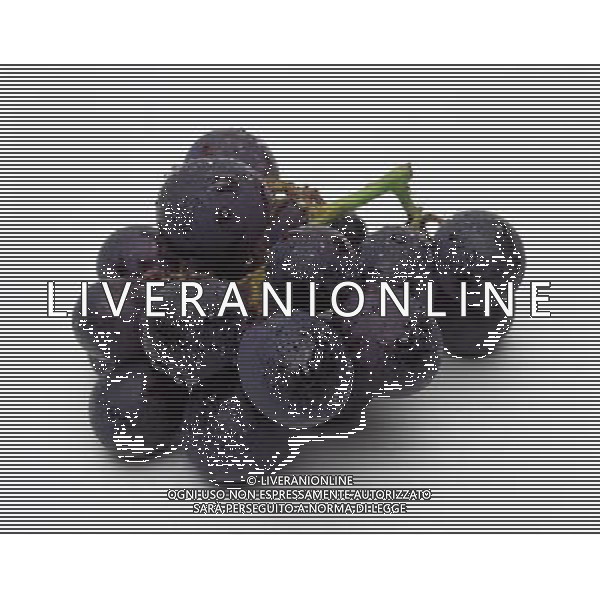 SITUATION UVA AGENZIA ALDO LIVERANI