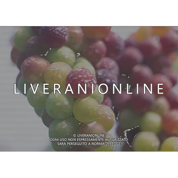 FRUTTA 2004 NELLA FOTO UVA SITUATION AGENZIA ALDO LIVERANI