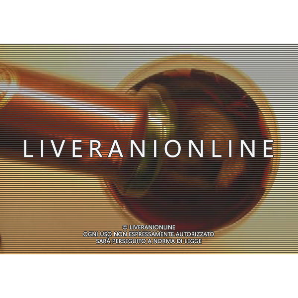 SITUATION VINO AGENZIA ALDO LIVERANI