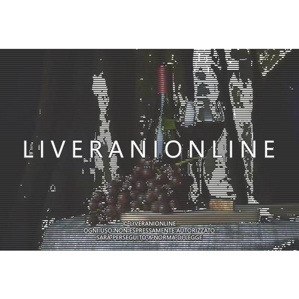 SITUATION VINO AGENZIA ALDO LIVERANI