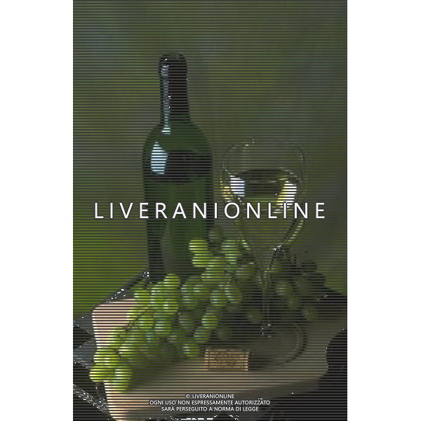 SITUATION VINO AGENZIA ALDO LIVERANI