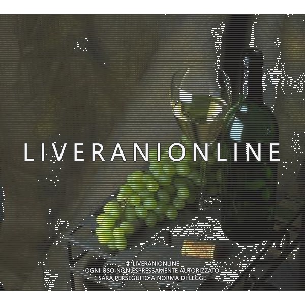 SITUATION VINO AGENZIA ALDO LIVERANI