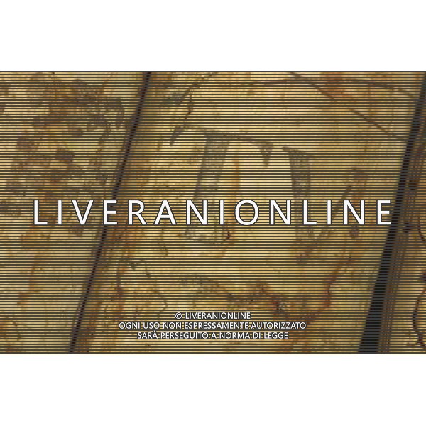 SITUATION VINO AGENZIA ALDO LIVERANI