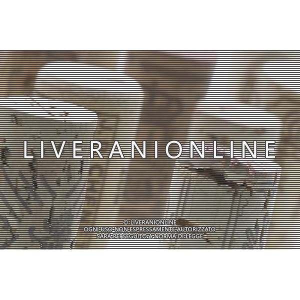 SITUATION VINO AGENZIA ALDO LIVERANI