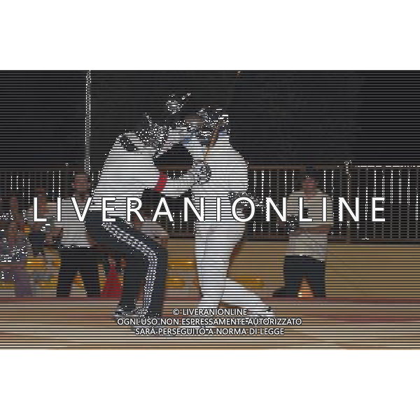 20110730 - SAONARA - VIA FRASSANEDO - ACCADEMIA CAVALLERESCA - SPO - LUCA CAMPEDELLI PARTECIPA AL TROFEO DELLA MATTA SCHERMA STORICOMBAT