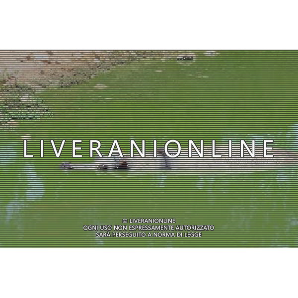 Hippopotamus in Jerusalem Biblical Zoo, Jerusalem Israel.