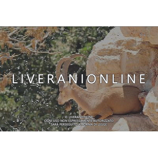 Male Nubian ibex in Jerusalem Biblical Zoo, Jerusalem Israel.