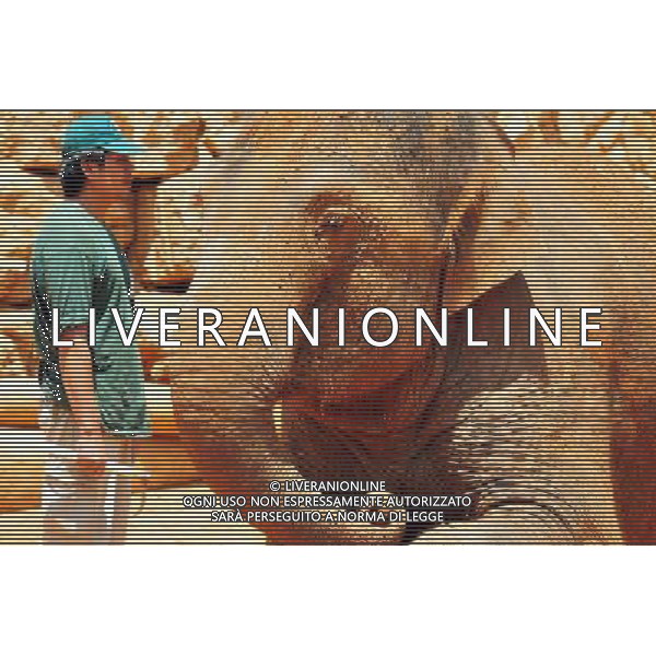 Asian Elephant in Jerusalem Biblical Zoo, Jerusalem Israel.