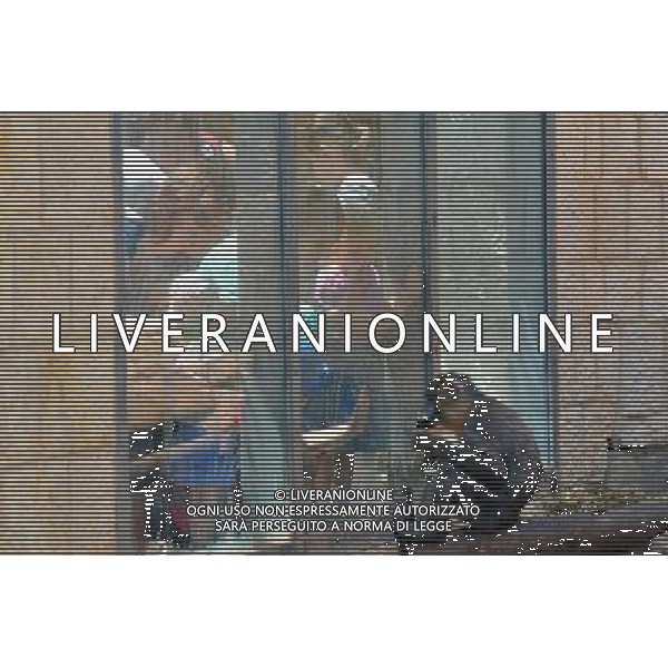 Baboon in Jerusalem Biblical Zoo, Jerusalem Israel.