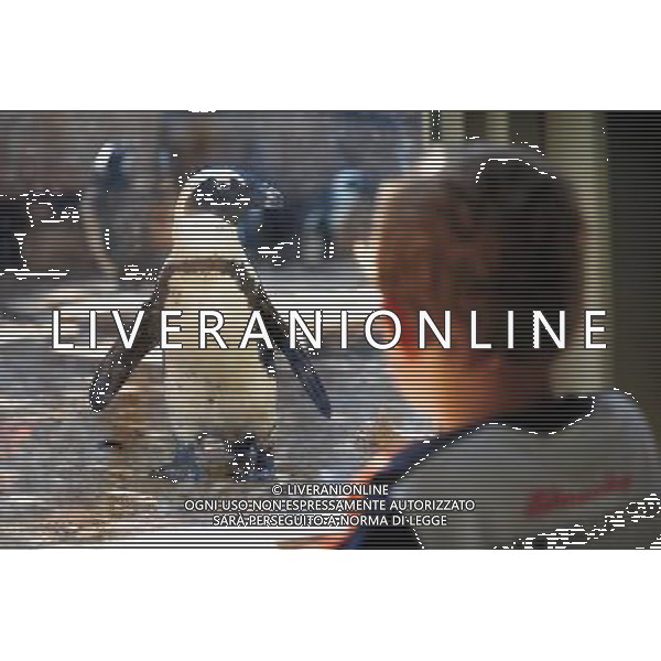 Black-footed penguin in Jerusalem Biblical Zoo, Jerusalem Israel.