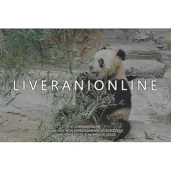 Beijing also formerly known in English as Peking is a metropolis in northern China and the capital of the People\'s Republic of China. It is one of the four municipalities of the PRC, which are equivalent to provinces in China\'s administrative structure. The municipality of Beijing borders Hebei Province to the north, west, south, and for a small section in the east, and Tianjin Municipality to the southeast. Beijing is one of the Four Great Ancient Capitals of China. Beijing is China\'s second largest city, after Shanghai. Beijing is a major transportation hub, with dozens of railways, roads and motorways passing through the city. It is also the focal point of many international flights to China. Beijing is recognized as the political, educational, and cultural center of the People\'s Republic of China, while Shanghai and Hong Kong predominate in economic fields. The city hosted the Games. Few cities in the world besides Beijing have served as the political and cultural centre of an area as immense as China for so long. The Encyclopedia Britannica describes it as, \'One of the world\'s great cities,\' and declares that the city has been an integral part of China‚Äôs history for centuries, and there is scarcely a major building of any age in Beijing that doesn\'t have at least some national historical significance. Beijing is renowned for its opulent palaces, temples, and huge stone walls and gates. Its art treasures and universities have long made the city a centre of culture and art in China.