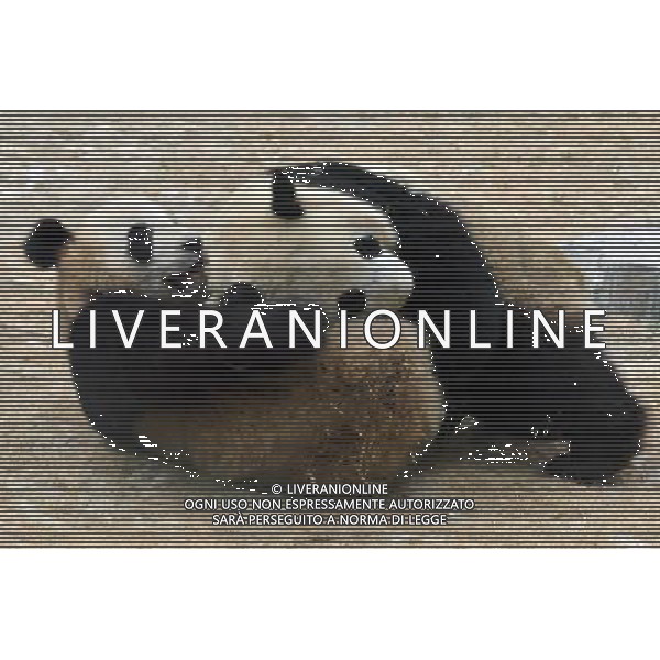 Beijing also formerly known in English as Peking is a metropolis in northern China and the capital of the People\'s Republic of China. It is one of the four municipalities of the PRC, which are equivalent to provinces in China\'s administrative structure. The municipality of Beijing borders Hebei Province to the north, west, south, and for a small section in the east, and Tianjin Municipality to the southeast. Beijing is one of the Four Great Ancient Capitals of China. Beijing is China\'s second largest city, after Shanghai. Beijing is a major transportation hub, with dozens of railways, roads and motorways passing through the city. It is also the focal point of many international flights to China. Beijing is recognized as the political, educational, and cultural center of the People\'s Republic of China, while Shanghai and Hong Kong predominate in economic fields. The city hosted the Games. Few cities in the world besides Beijing have served as the political and cultural centre of an area as immense as China for so long. The Encyclopedia Britannica describes it as, \'One of the world\'s great cities,\' and declares that the city has been an integral part of China‚Äôs history for centuries, and there is scarcely a major building of any age in Beijing that doesn\'t have at least some national historical significance. Beijing is renowned for its opulent palaces, temples, and huge stone walls and gates. Its art treasures and universities have long made the city a centre of culture and art in China.