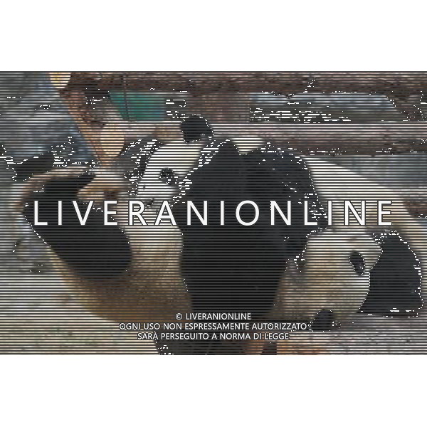 Beijing also formerly known in English as Peking is a metropolis in northern China and the capital of the People\'s Republic of China. It is one of the four municipalities of the PRC, which are equivalent to provinces in China\'s administrative structure. The municipality of Beijing borders Hebei Province to the north, west, south, and for a small section in the east, and Tianjin Municipality to the southeast. Beijing is one of the Four Great Ancient Capitals of China. Beijing is China\'s second largest city, after Shanghai. Beijing is a major transportation hub, with dozens of railways, roads and motorways passing through the city. It is also the focal point of many international flights to China. Beijing is recognized as the political, educational, and cultural center of the People\'s Republic of China, while Shanghai and Hong Kong predominate in economic fields. The city hosted the Games. Few cities in the world besides Beijing have served as the political and cultural centre of an area as immense as China for so long. The Encyclopedia Britannica describes it as, \'One of the world\'s great cities,\' and declares that the city has been an integral part of China‚Äôs history for centuries, and there is scarcely a major building of any age in Beijing that doesn\'t have at least some national historical significance. Beijing is renowned for its opulent palaces, temples, and huge stone walls and gates. Its art treasures and universities have long made the city a centre of culture and art in China.