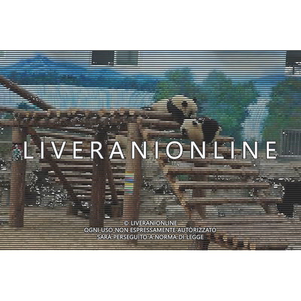 Beijing also formerly known in English as Peking is a metropolis in northern China and the capital of the People\'s Republic of China. It is one of the four municipalities of the PRC, which are equivalent to provinces in China\'s administrative structure. The municipality of Beijing borders Hebei Province to the north, west, south, and for a small section in the east, and Tianjin Municipality to the southeast. Beijing is one of the Four Great Ancient Capitals of China. Beijing is China\'s second largest city, after Shanghai. Beijing is a major transportation hub, with dozens of railways, roads and motorways passing through the city. It is also the focal point of many international flights to China. Beijing is recognized as the political, educational, and cultural center of the People\'s Republic of China, while Shanghai and Hong Kong predominate in economic fields. The city hosted the Games. Few cities in the world besides Beijing have served as the political and cultural centre of an area as immense as China for so long. The Encyclopedia Britannica describes it as, \'One of the world\'s great cities,\' and declares that the city has been an integral part of China‚Äôs history for centuries, and there is scarcely a major building of any age in Beijing that doesn\'t have at least some national historical significance. Beijing is renowned for its opulent palaces, temples, and huge stone walls and gates. Its art treasures and universities have long made the city a centre of culture and art in China.