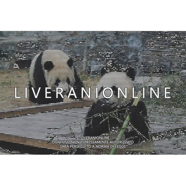 Beijing also formerly known in English as Peking is a metropolis in northern China and the capital of the People\'s Republic of China. It is one of the four municipalities of the PRC, which are equivalent to provinces in China\'s administrative structure. The municipality of Beijing borders Hebei Province to the north, west, south, and for a small section in the east, and Tianjin Municipality to the southeast. Beijing is one of the Four Great Ancient Capitals of China. Beijing is China\'s second largest city, after Shanghai. Beijing is a major transportation hub, with dozens of railways, roads and motorways passing through the city. It is also the focal point of many international flights to China. Beijing is recognized as the political, educational, and cultural center of the People\'s Republic of China, while Shanghai and Hong Kong predominate in economic fields. The city hosted the Games. Few cities in the world besides Beijing have served as the political and cultural centre of an area as immense as China for so long. The Encyclopedia Britannica describes it as, \'One of the world\'s great cities,\' and declares that the city has been an integral part of China‚Äôs history for centuries, and there is scarcely a major building of any age in Beijing that doesn\'t have at least some national historical significance. Beijing is renowned for its opulent palaces, temples, and huge stone walls and gates. Its art treasures and universities have long made the city a centre of culture and art in China.