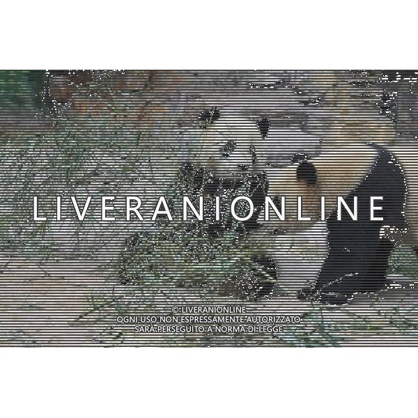 Beijing also formerly known in English as Peking is a metropolis in northern China and the capital of the People\'s Republic of China. It is one of the four municipalities of the PRC, which are equivalent to provinces in China\'s administrative structure. The municipality of Beijing borders Hebei Province to the north, west, south, and for a small section in the east, and Tianjin Municipality to the southeast. Beijing is one of the Four Great Ancient Capitals of China. Beijing is China\'s second largest city, after Shanghai. Beijing is a major transportation hub, with dozens of railways, roads and motorways passing through the city. It is also the focal point of many international flights to China. Beijing is recognized as the political, educational, and cultural center of the People\'s Republic of China, while Shanghai and Hong Kong predominate in economic fields. The city hosted the Games. Few cities in the world besides Beijing have served as the political and cultural centre of an area as immense as China for so long. The Encyclopedia Britannica describes it as, \'One of the world\'s great cities,\' and declares that the city has been an integral part of China‚Äôs history for centuries, and there is scarcely a major building of any age in Beijing that doesn\'t have at least some national historical significance. Beijing is renowned for its opulent palaces, temples, and huge stone walls and gates. Its art treasures and universities have long made the city a centre of culture and art in China.