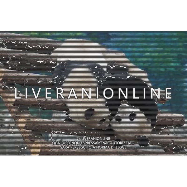 Beijing also formerly known in English as Peking is a metropolis in northern China and the capital of the People\'s Republic of China. It is one of the four municipalities of the PRC, which are equivalent to provinces in China\'s administrative structure. The municipality of Beijing borders Hebei Province to the north, west, south, and for a small section in the east, and Tianjin Municipality to the southeast. Beijing is one of the Four Great Ancient Capitals of China. Beijing is China\'s second largest city, after Shanghai. Beijing is a major transportation hub, with dozens of railways, roads and motorways passing through the city. It is also the focal point of many international flights to China. Beijing is recognized as the political, educational, and cultural center of the People\'s Republic of China, while Shanghai and Hong Kong predominate in economic fields. The city hosted the Games. Few cities in the world besides Beijing have served as the political and cultural centre of an area as immense as China for so long. The Encyclopedia Britannica describes it as, \'One of the world\'s great cities,\' and declares that the city has been an integral part of China‚Äôs history for centuries, and there is scarcely a major building of any age in Beijing that doesn\'t have at least some national historical significance. Beijing is renowned for its opulent palaces, temples, and huge stone walls and gates. Its art treasures and universities have long made the city a centre of culture and art in China.