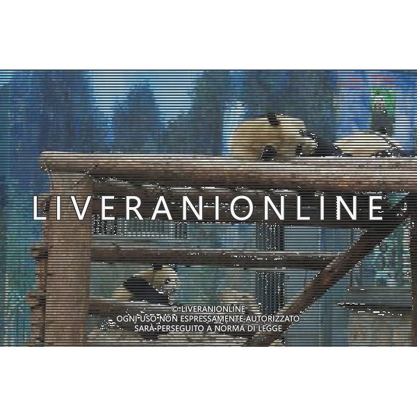 Beijing also formerly known in English as Peking is a metropolis in northern China and the capital of the People\'s Republic of China. It is one of the four municipalities of the PRC, which are equivalent to provinces in China\'s administrative structure. The municipality of Beijing borders Hebei Province to the north, west, south, and for a small section in the east, and Tianjin Municipality to the southeast. Beijing is one of the Four Great Ancient Capitals of China. Beijing is China\'s second largest city, after Shanghai. Beijing is a major transportation hub, with dozens of railways, roads and motorways passing through the city. It is also the focal point of many international flights to China. Beijing is recognized as the political, educational, and cultural center of the People\'s Republic of China, while Shanghai and Hong Kong predominate in economic fields. The city hosted the Games. Few cities in the world besides Beijing have served as the political and cultural centre of an area as immense as China for so long. The Encyclopedia Britannica describes it as, \'One of the world\'s great cities,\' and declares that the city has been an integral part of China‚Äôs history for centuries, and there is scarcely a major building of any age in Beijing that doesn\'t have at least some national historical significance. Beijing is renowned for its opulent palaces, temples, and huge stone walls and gates. Its art treasures and universities have long made the city a centre of culture and art in China.