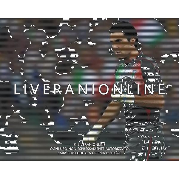 Amichevole Internazionale Bari - 10.08.2011 Italia-Spagna Nella Foto:buffon esulta /Ph.Vitez-Ag. Aldo Liverani