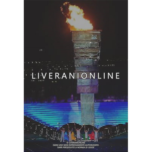 (110812) -- SHENZHEN, Aug. 12, 2011 () -- The main cauldron is lightened during the opening ceremony of the 26th Summer Universiade in Shenzhen, a city of south China\'s Guangdong Province, on Aug. 12, 2011. (/Wang Song)(kh)