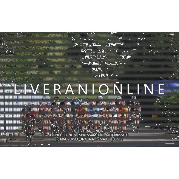 (110813) -- SHENZHEN, Aug. 13, 2011 () -- Cyclists compete during the women\'s 120 km cycling road race at the 26th Summer Universiade in Shenzhen, a city of south China\'s Guangdong Province, Aug. 13, 2011.(/Li Ga)(kh)
