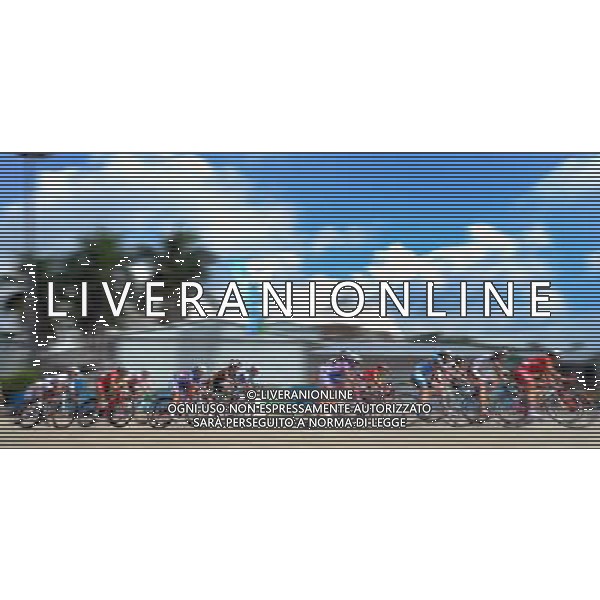 (110813) -- SHENZHEN, Aug. 13, 2011 () -- Cyclists compete during the women\'s 120 km cycling road race at the 26th Summer Universiade in Shenzhen, a city of south China\'s Guangdong Province, Aug. 13, 2011. (/Li Ga)(kh)