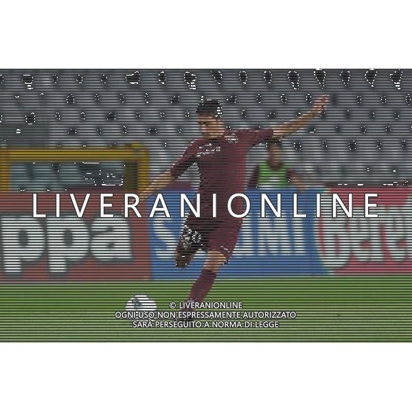 Coppa Italia - TIM Cup 2011-2012 Torino 13-08-2011 Torino - Lumezzane nella foto: Giuseppe Vives (Torino) foto Roberto Garavaglia - ag. Aldo Liverani sas