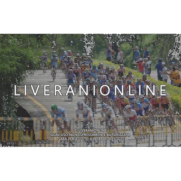 (110813) -- SHENZHEN, Aug. 13, 2011 () -- Players compete during the men\'s 160km cycling road race at the 26th Summer Universiade in Shenzhen, a city of south China\'s Guangdong Province, Aug. 13, 2011. Bernhard Oberholzer of Switzerland claimed the champion with 3 hours 50 minutes and 22 seconds. (/Li Ga)(lm)