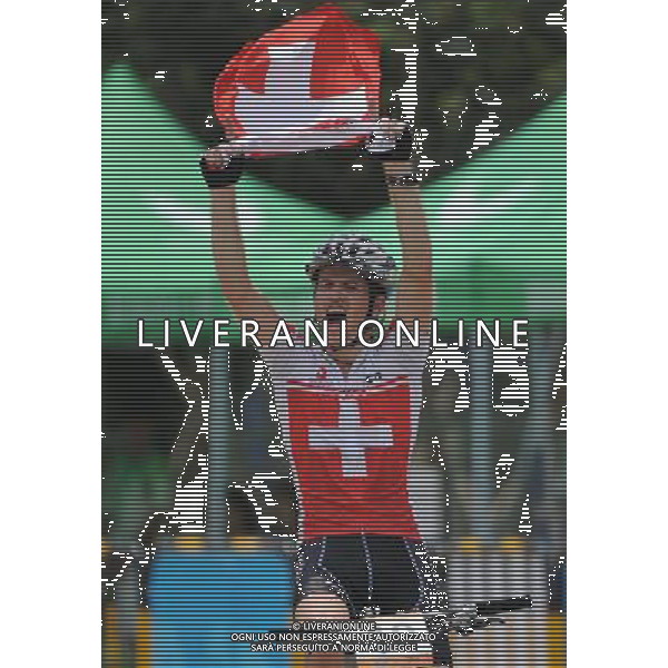SHENZHEN, Aug. 15, 2011 Sivio Buesser of Switzerland crossed the finish line during the final of men\'s MTB cross country race at the 26th Summer Universiade in Shenzhen, a city of south China\'s Guangdong Province, Aug. 15, 2011. Buesser won the silver medal with 1 hour 32 minutes 23 seconds. (/Li Ga) (bxf)