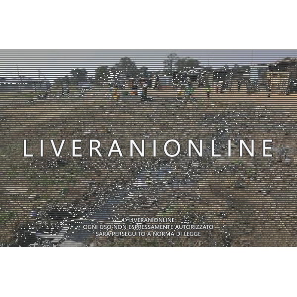 JOHANNESBURG, Aug. 16, 2011 Residents are seen at a slum in Samampelo, Johannesburg, South Africa, Aug. 14, 2011. Over 15,000 people live in this slum, most of whom live on hard labour or small business. (/Li Qihua) (msq)