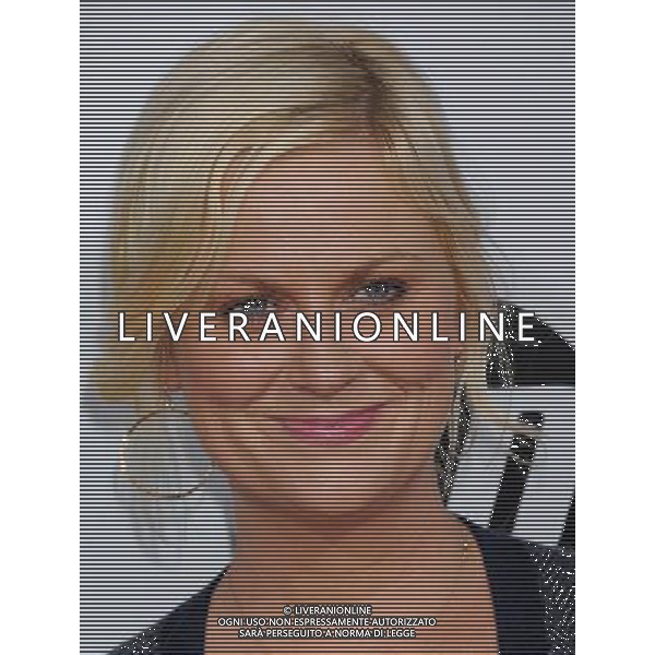 Amy Poehler Photo by Gilbert Flores \'Our Idiot Brother\' - Los Angeles Premiere at the ArcLight Cinemas Cinerama Dome August 16, 2011 - Hollywood, California